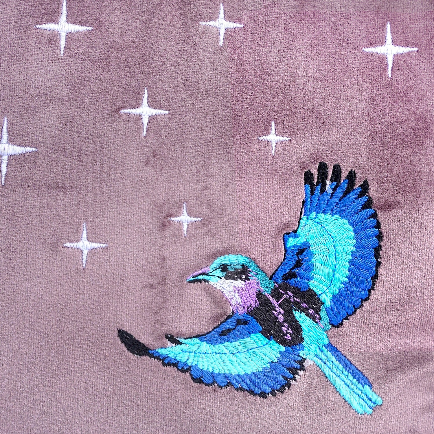 Indian Roller
